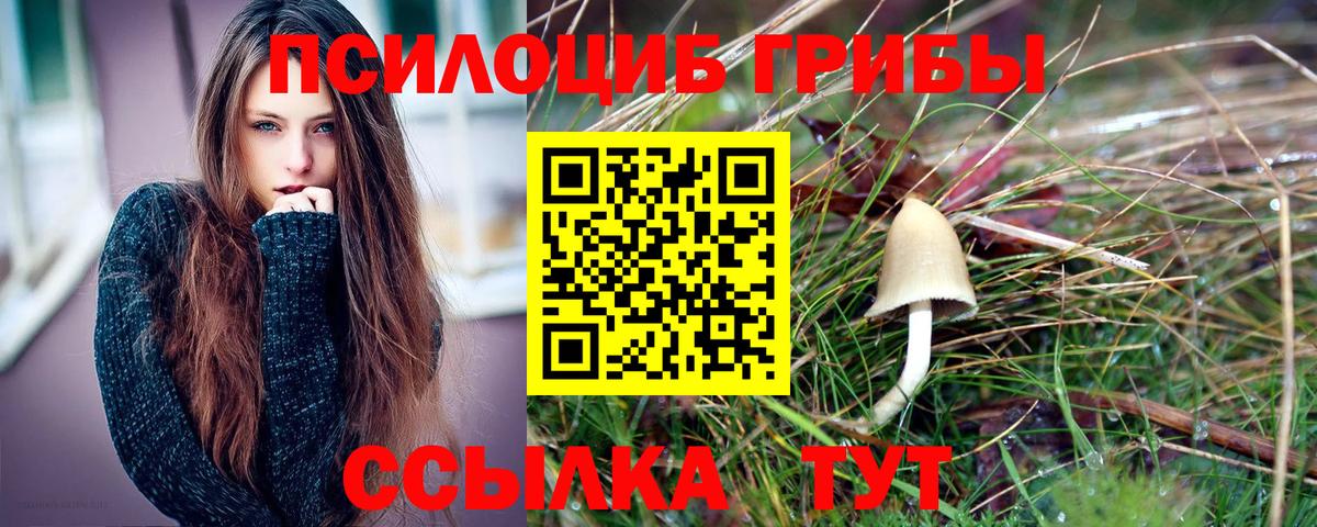 Псилоцибиновые грибы Magic Shrooms Первоуральск