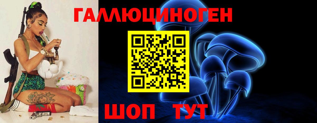 Псилоцибиновые грибы Psilocybine cubensis  Псилоцибиновые грибы прущие грибы  Первоуральск  Вход с VPN 